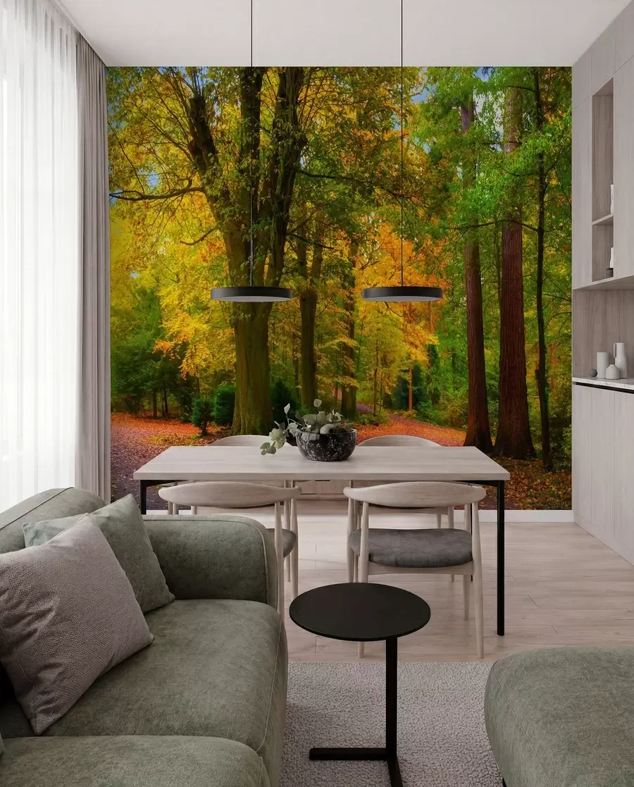 Fototapetes Rudens sākums u08547