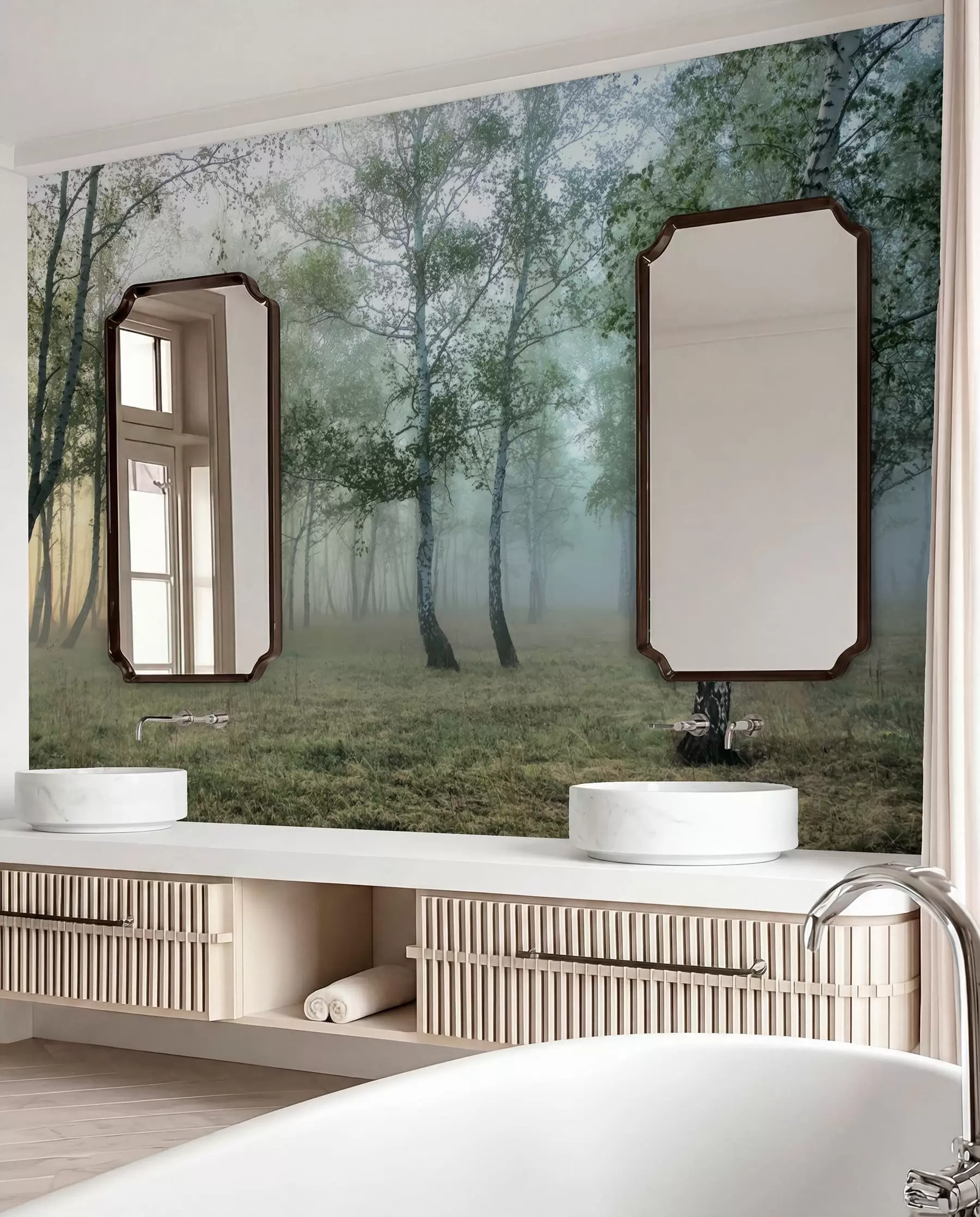 Fototapetes Miglas bērzu mežs u25820
