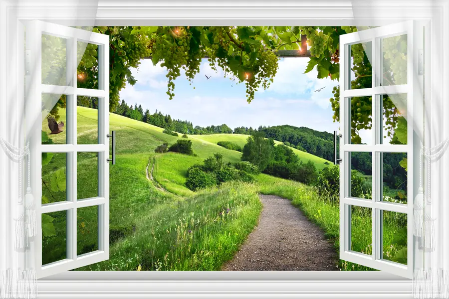 Fototapetes Skats no loga uz izcirtumu u28196