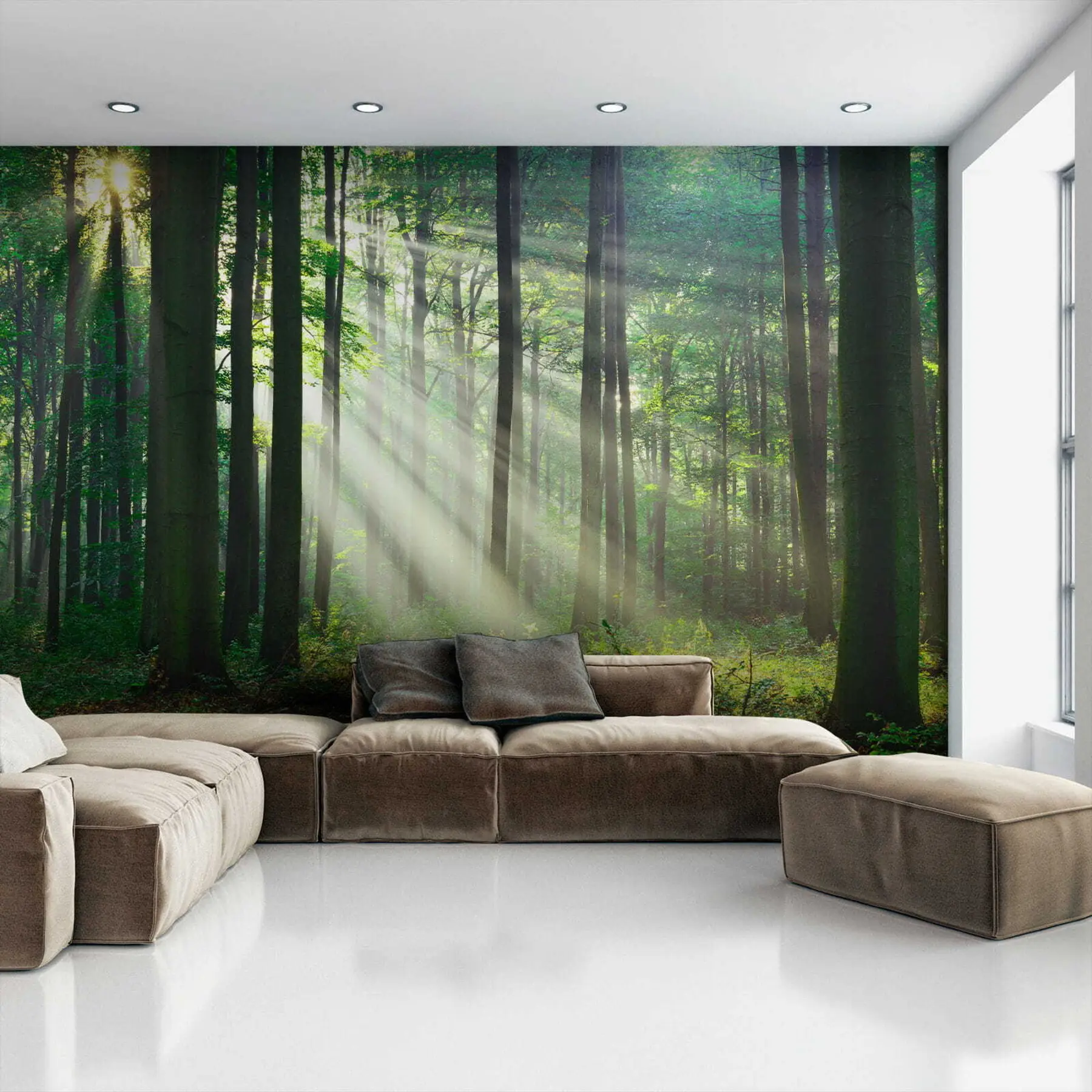 Fototapetes Augs, zaļš un ekoreģions u56787