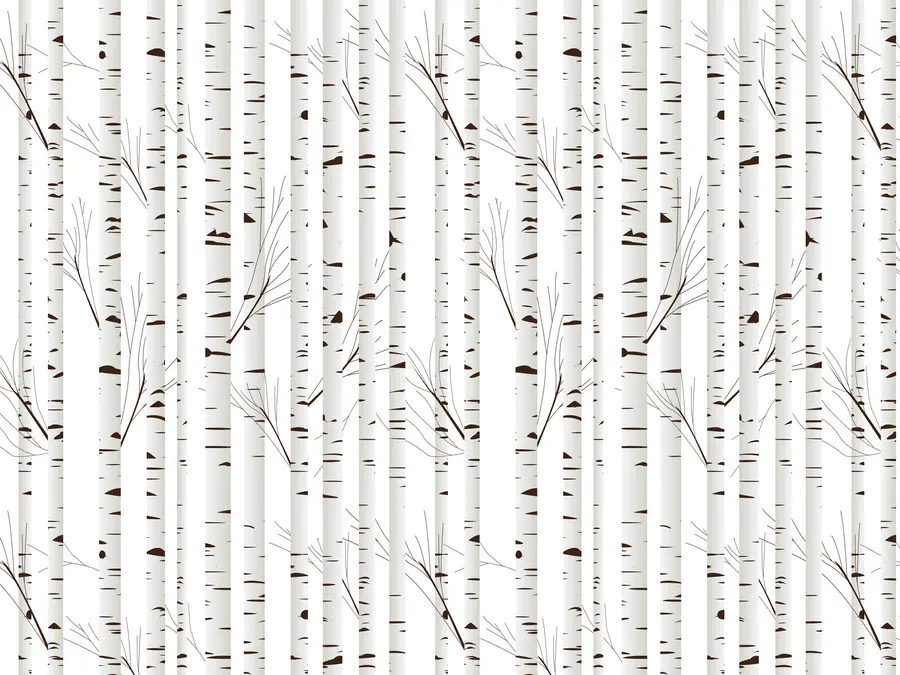 Fototapetes Bērzu mežs u58973