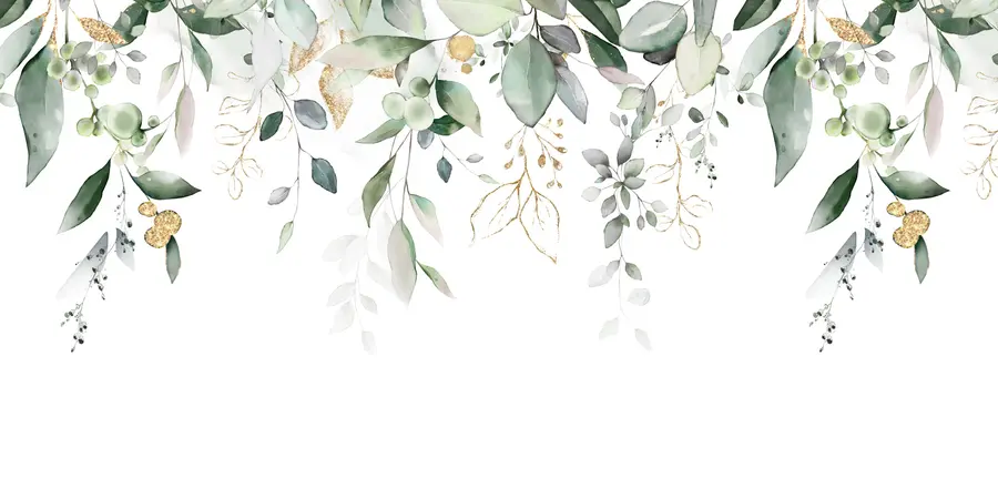 Fototapetes Eikalipta lapas uz balta fona u95506d2