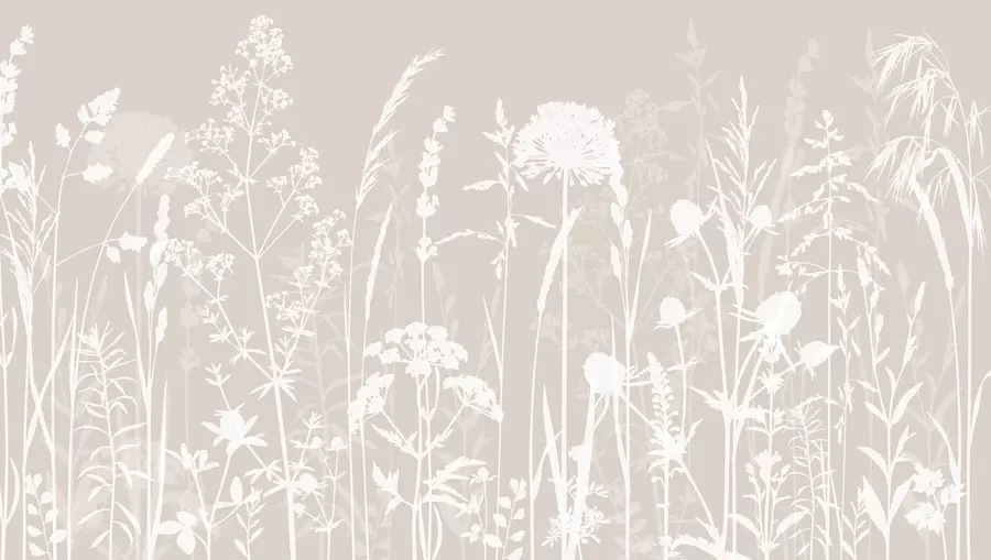 Fototapetes Maigs lauka augu un ziedu minimālisms w01270