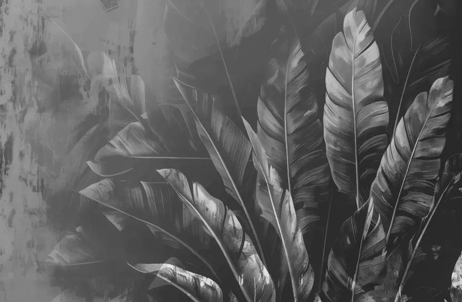 Fototapetes Melnās lapas w00971