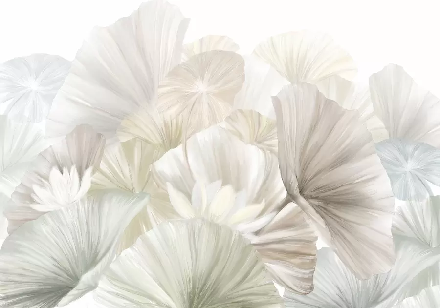 Fototapetes Delikātas zaļas lotosa lapas ar baltiem ziediem ar maigām, spalvainām ziedlapiņām, kas sakārtotas dabas mākslas kompozīcijā w08265