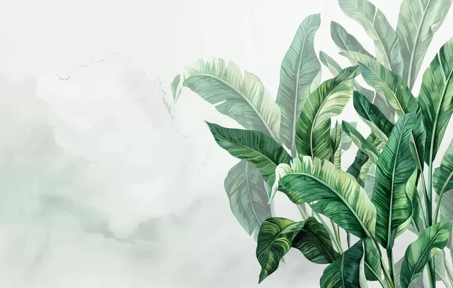 Fototapetes banānu lapas, lielas lapas, zaļas lapas, tropu lapas, tropu lapas w01630