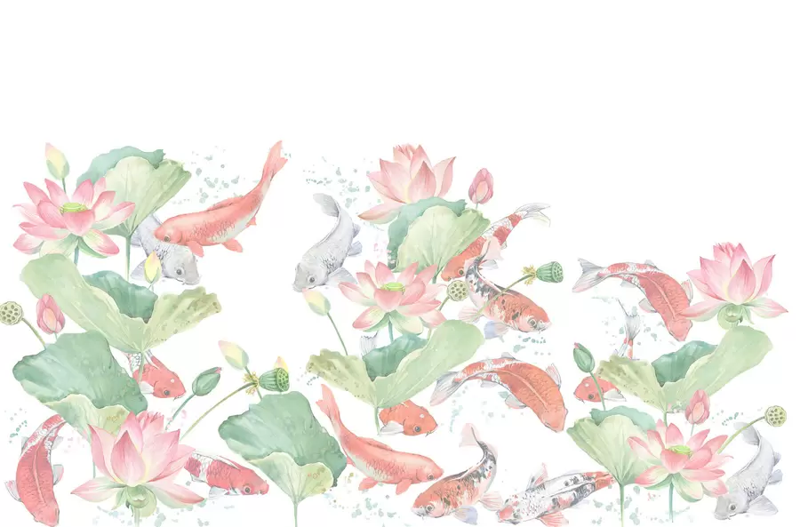 Fototapetes Japāņu koi zivis w01821v1