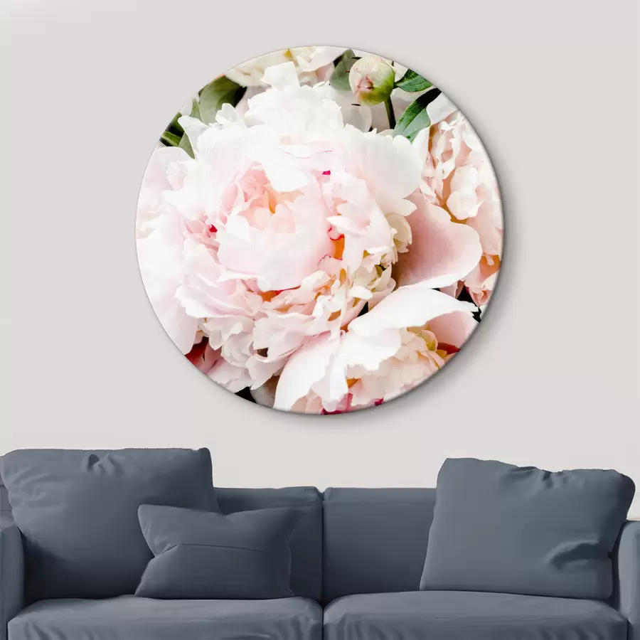 Glezna Sārtās peonijas foto r35241