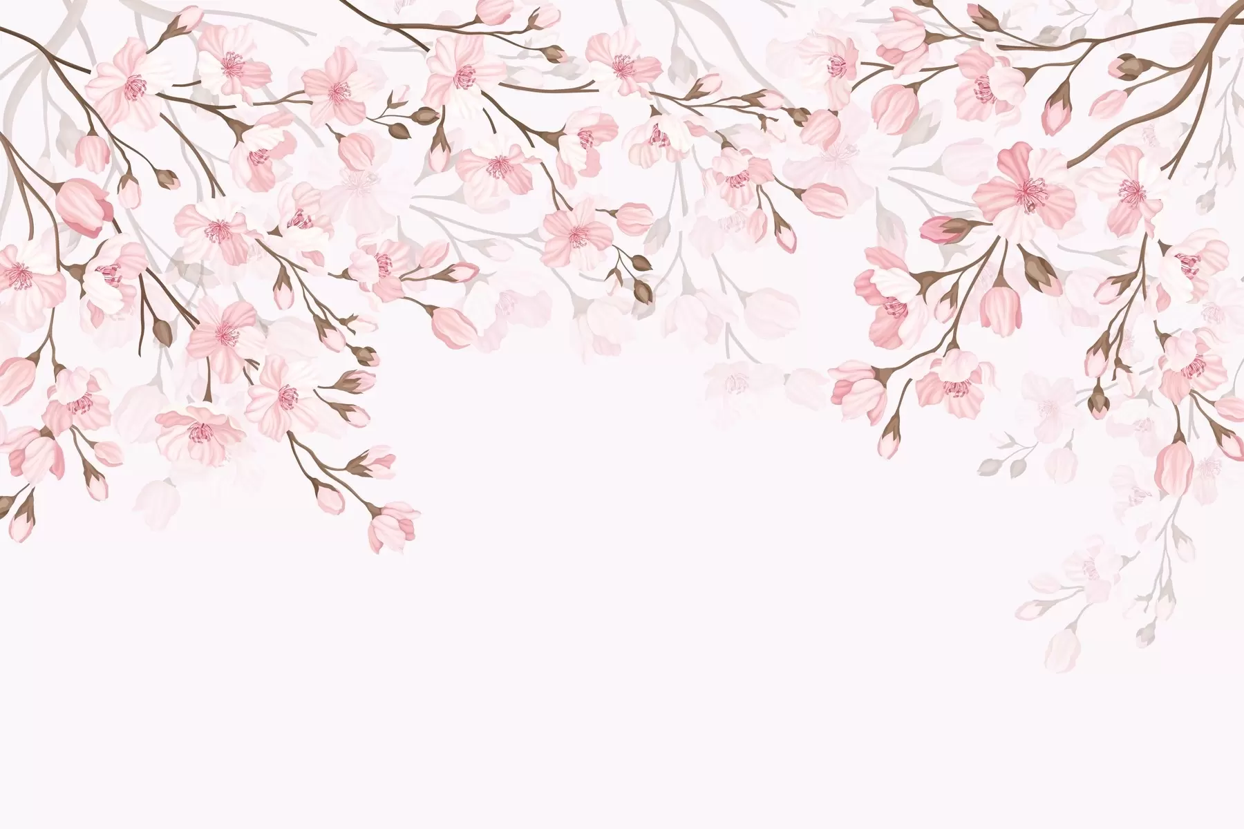 Fototapetes rozā ziedoši zari uz rozā fona w02200