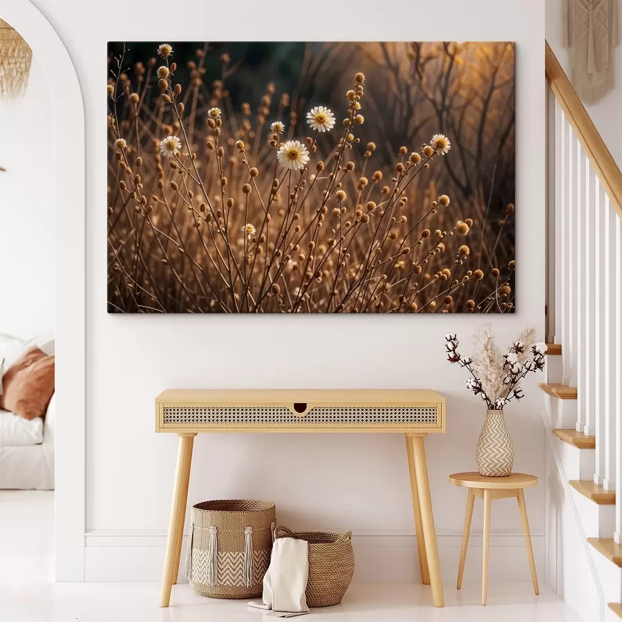 Glezna Baltas margrietiņas sausas zāles un stiebru laukā, siltā vakara saules gaismā s41735