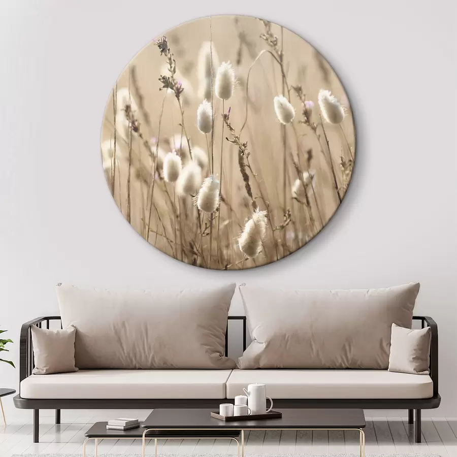 Glezna Pūkainas zāles saules apspīdētā pļavā r35256