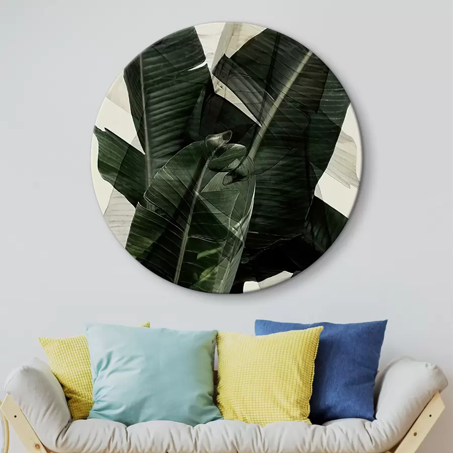 Glezna Augs, sauszemes augs un banāna lapa r21747