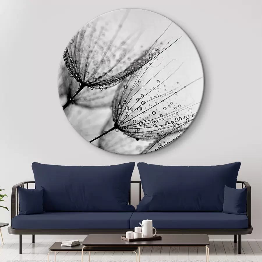 Glezna Augs, zariņš un aukla r20828