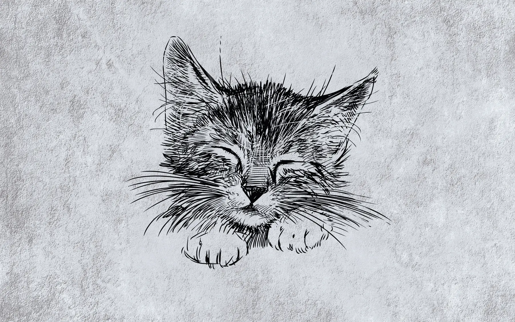 Fototapetes Kaķi, kaķu dzimtas dzīvnieki un plēsēji u43536