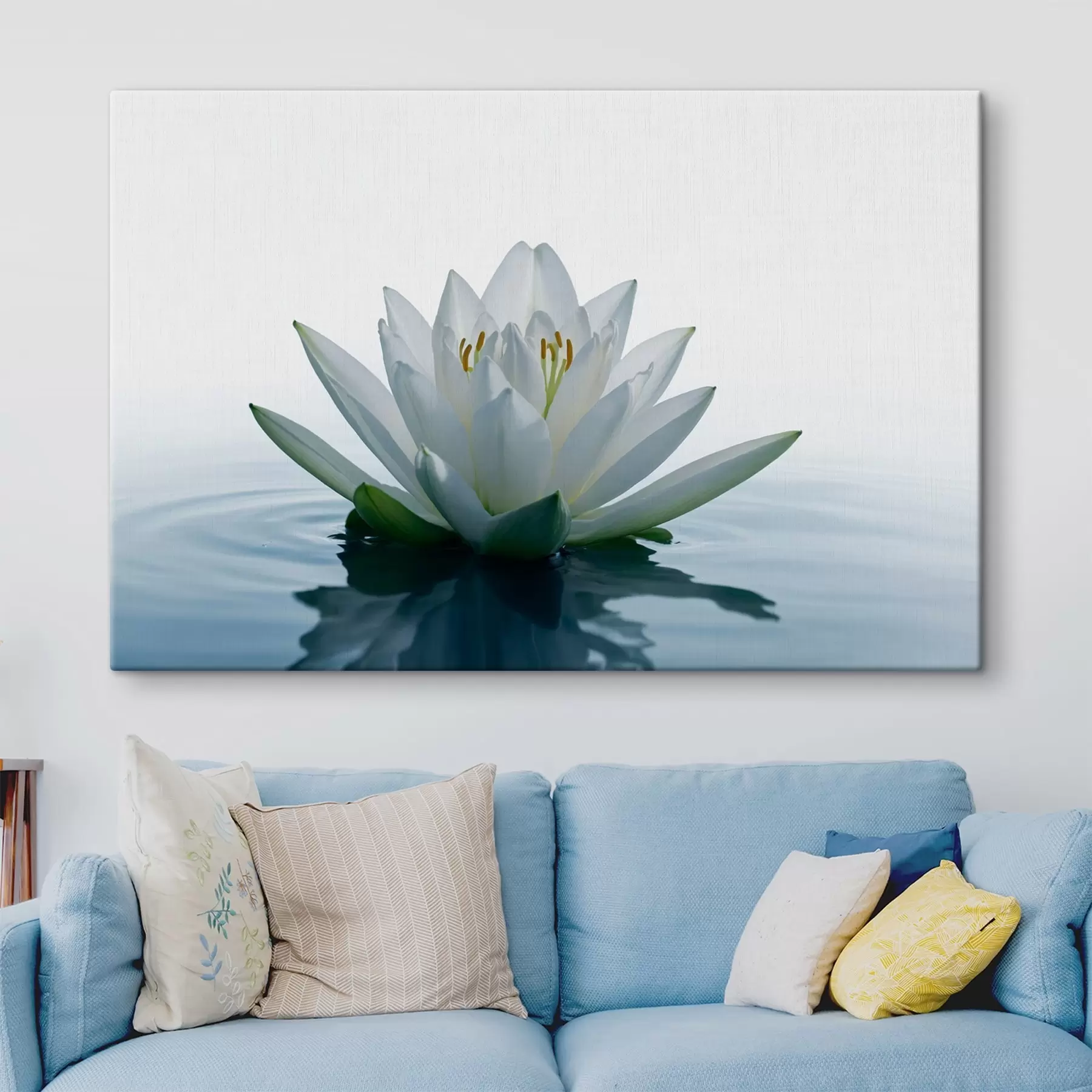 Fototapetes Lilija peld uz ūdens s42098