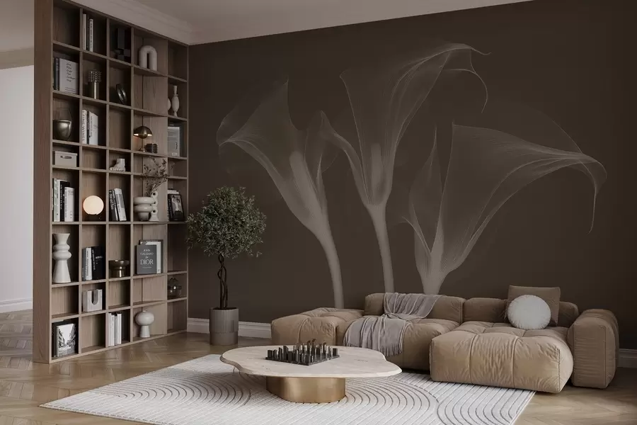 Fototapetes gaisīgi caurspīdīgi Zantedeschia ziedi uz tumša fona w02632v1