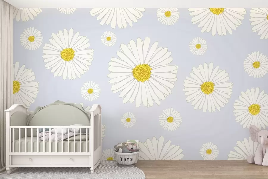 Fototapetes Spilgtas margrietiņas uz maiga fona w02652v1