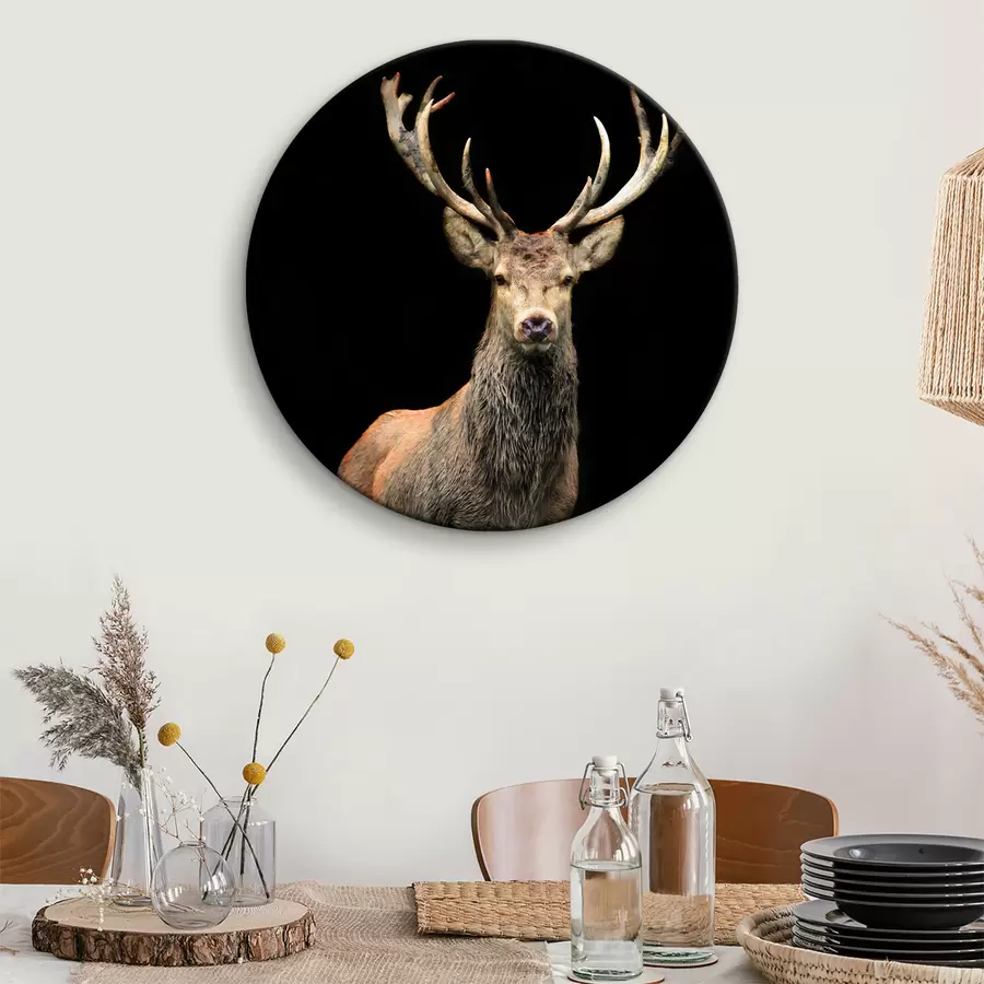 Fototapetes Laši, organisms e briedis r08154