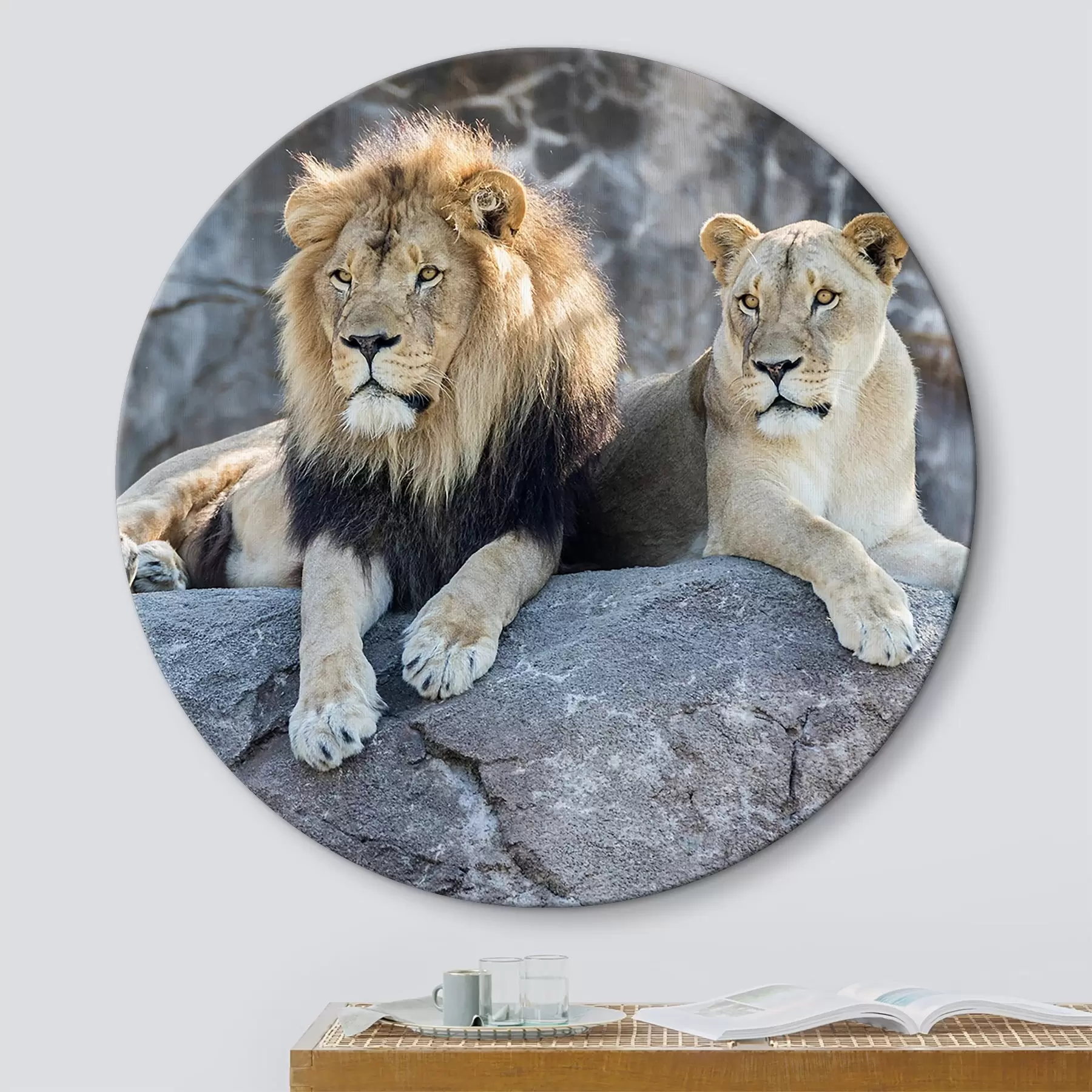 Glezna Lew, kotowate i mięsożerne r15278