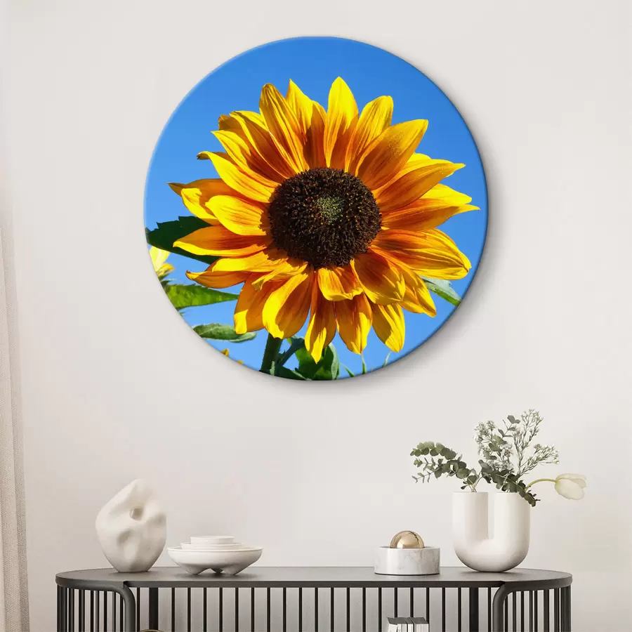 Glezna Zieds, augs un debesis r27692