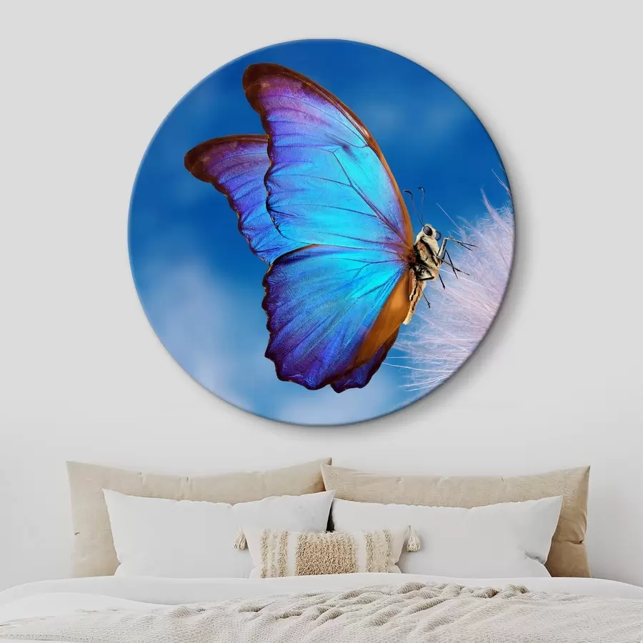 Glezna Tauriņš uz pienenes r34923