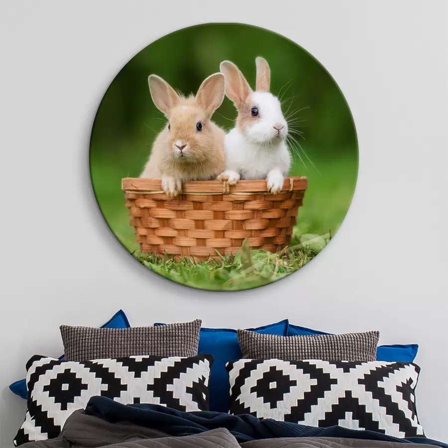 Glezna Jauki truši r37760