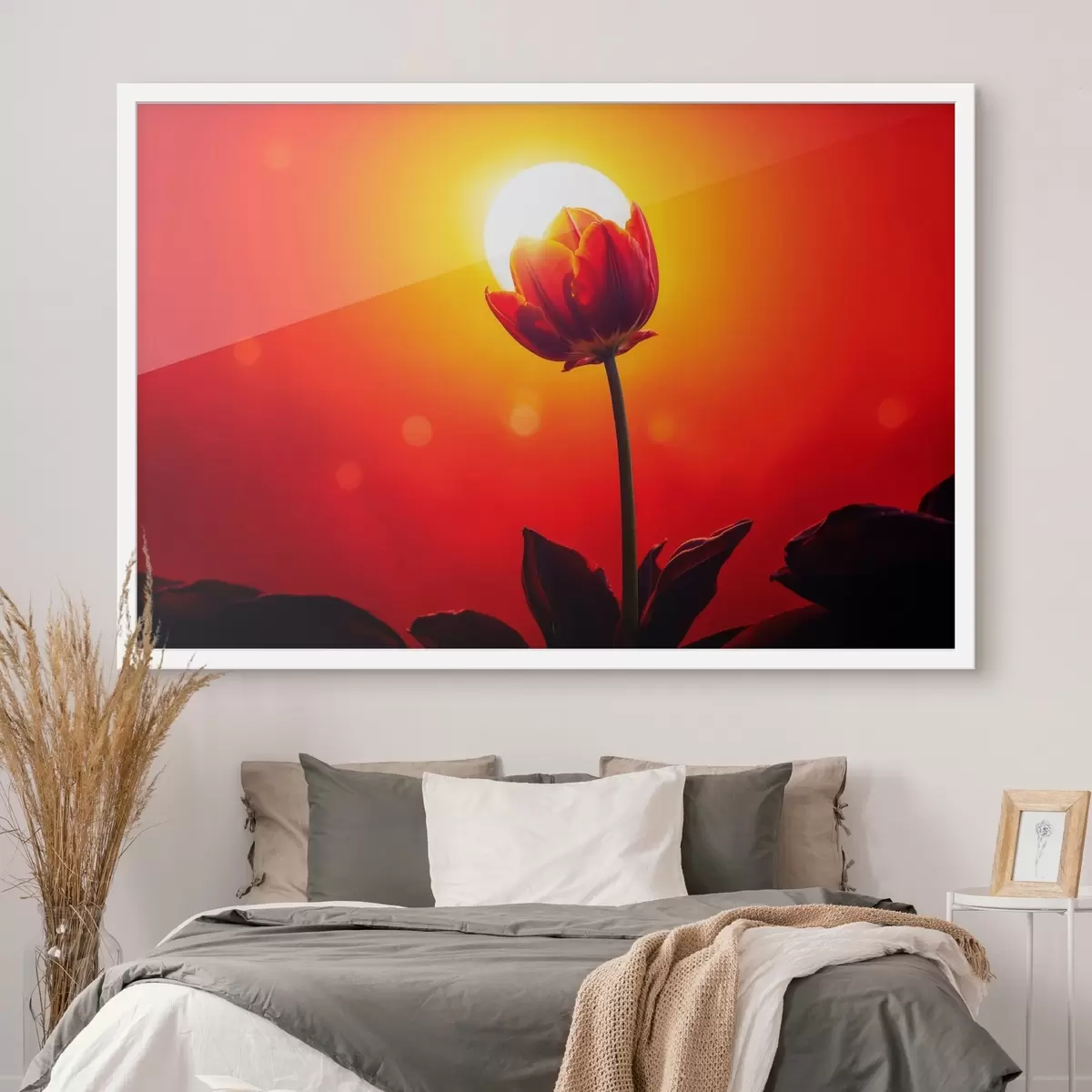 Plakāts Tulpe uz funfet atpakaļ atrasts f42922