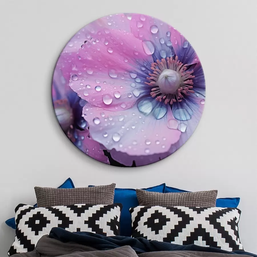 Glezna Rozā un violeti ziedi pilnā ziedēšanas laikā, kas pārklāti ar ūdens pilieniem, uz tumša fona r43394