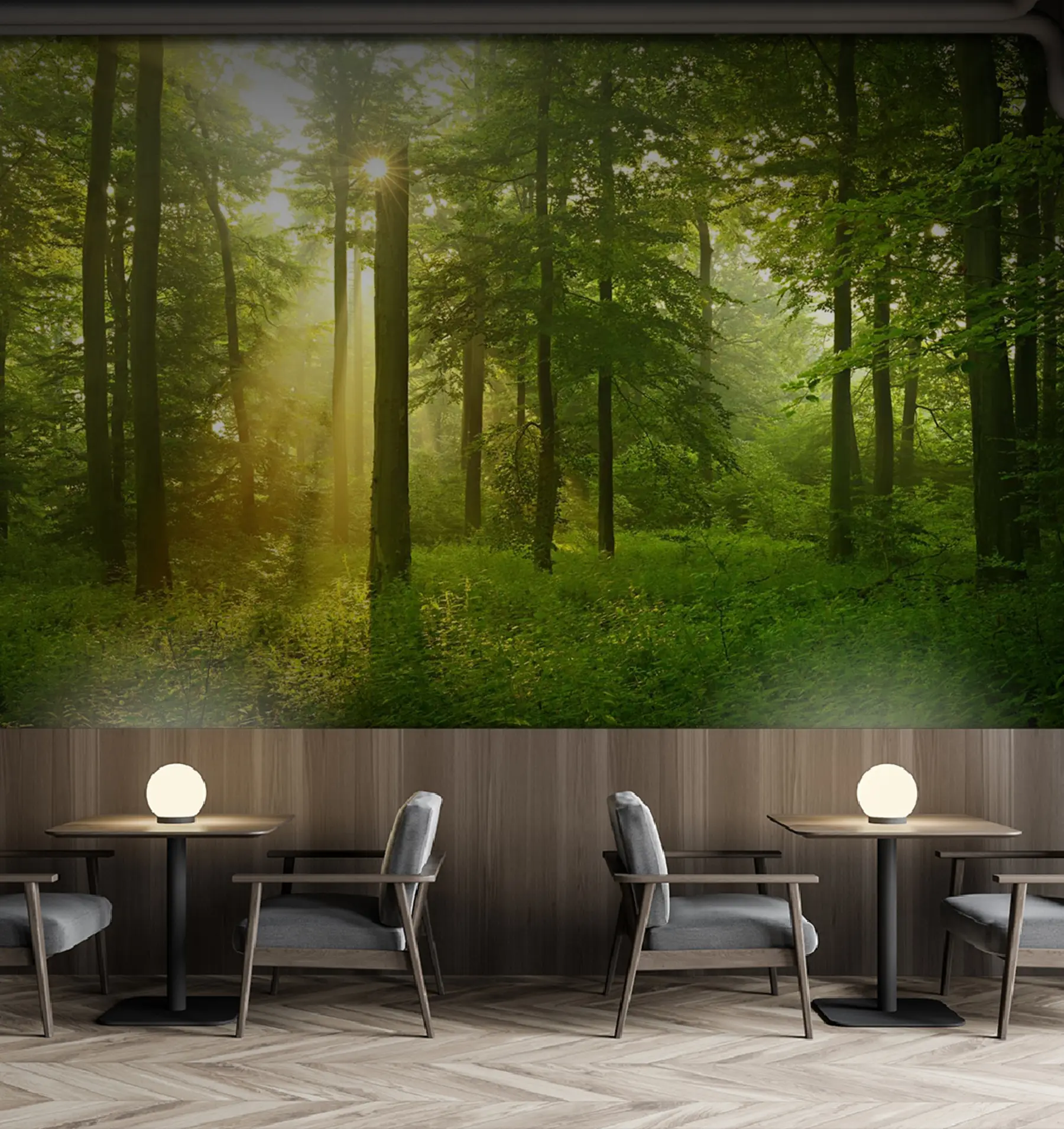 Fototapetes Klusums saulainā mežā u57295