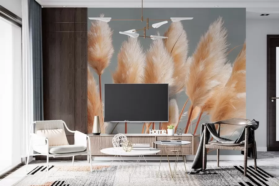 Fototapetes Bēša pampasa zāle uz zili pelēka fona w09083