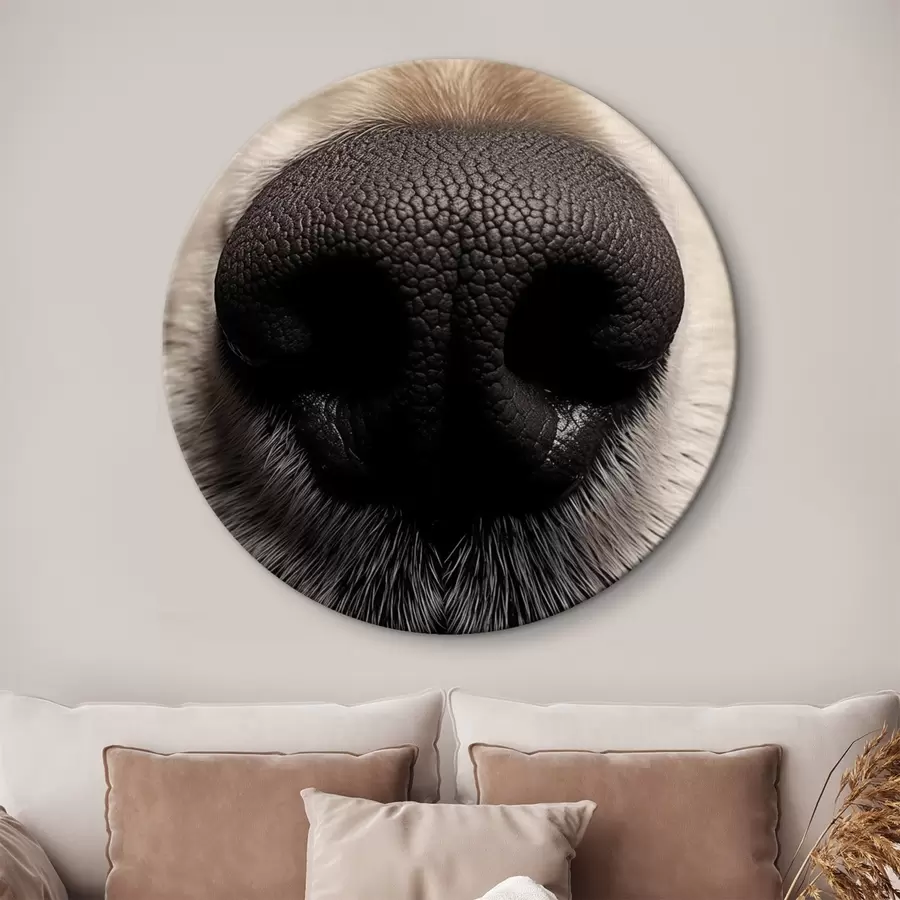 Glezna Suņa deguns r44273