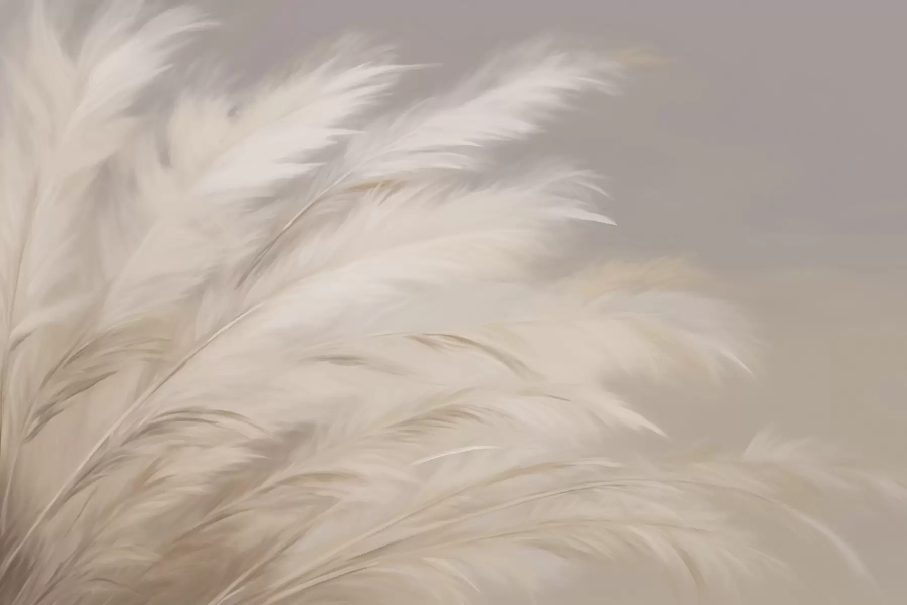 Fototapetes Mīkstas pūkainas zāles bēšā un pelēkā krāsā w03992