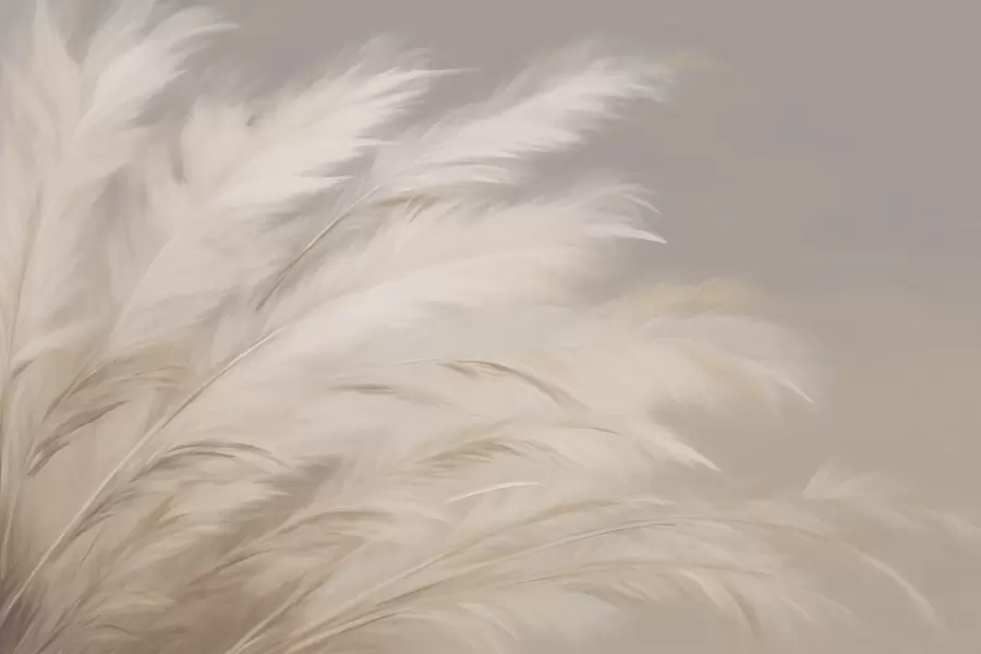 Fototapetes Mīkstas pūkainas zāles bēšā un pelēkā krāsā w03992