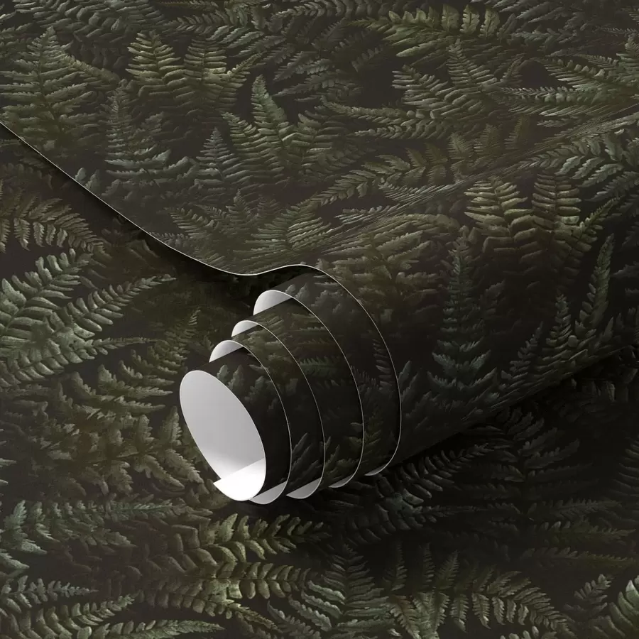 Fototapetes Tumši papardes, meža ornaments, nakts krāsas a00214