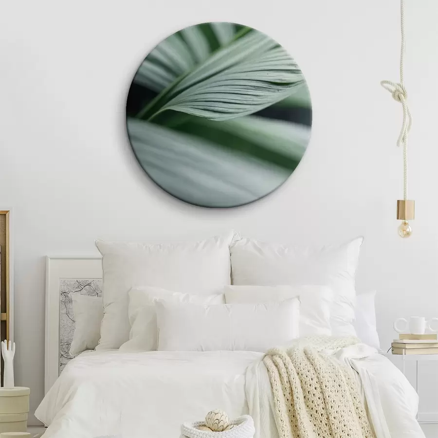 Glezna Tropu lapas ar ūdens pilieniem miglainā vidē r44903