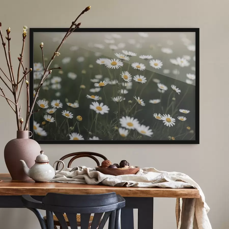 Fototapetes Margrietiņu lauks ar nefokusētu zaļu fonu f44898