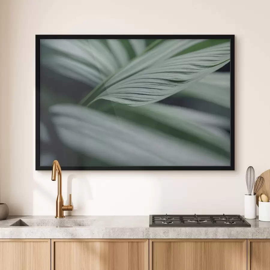 Fototapetes Tropu lapas ar ūdens pilieniem miglainā vidē f44903