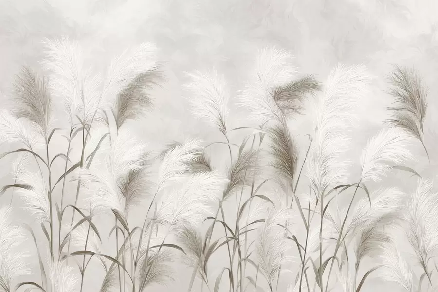 Fototapetes Elegantā pampasa zāle zied pelēkos un brūnos toņos w09150