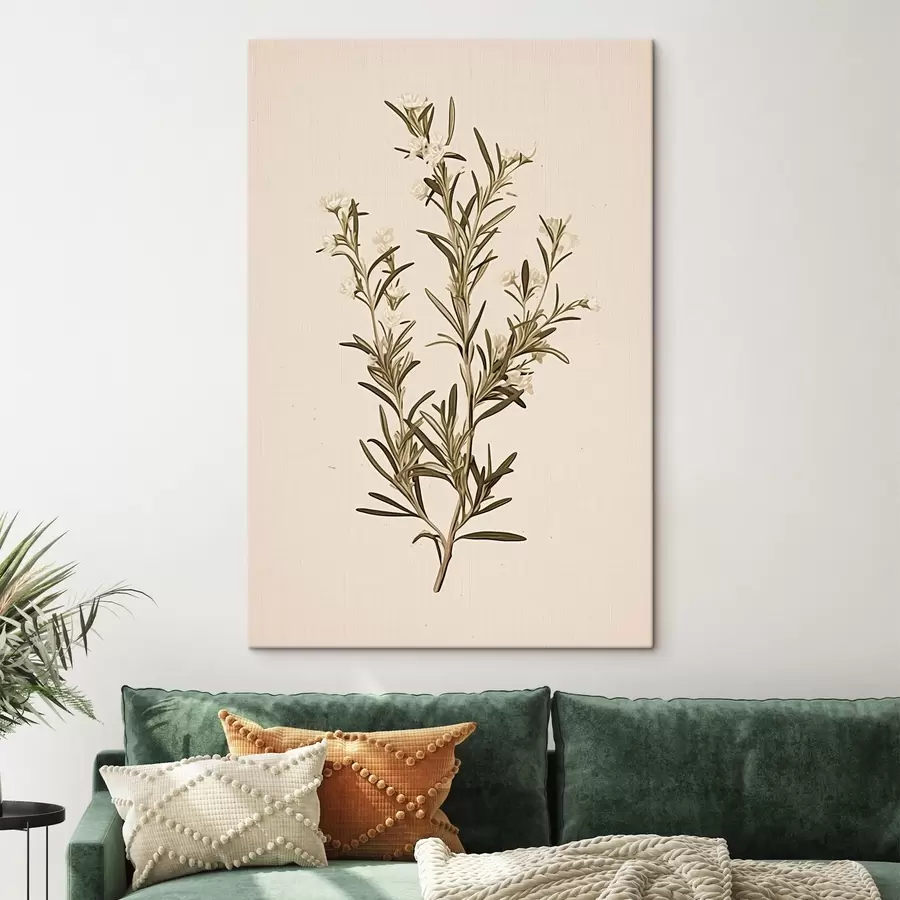 Glezna botāniskais, bēšs fons, minimāls, augs, zaļas lapas, stublājs, zaļās lapas, zariņš, stublājs, zariņš s45098