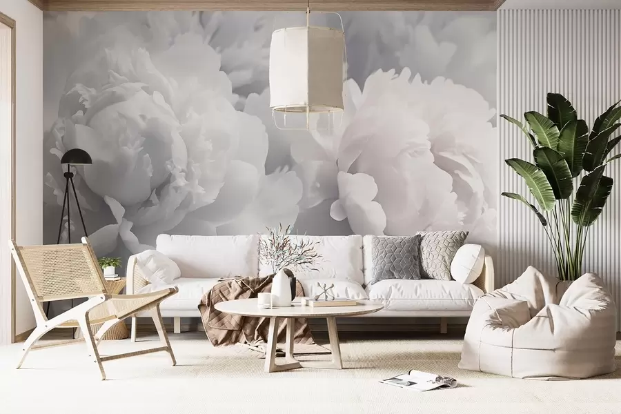 Fototapetes Peonijas w04336