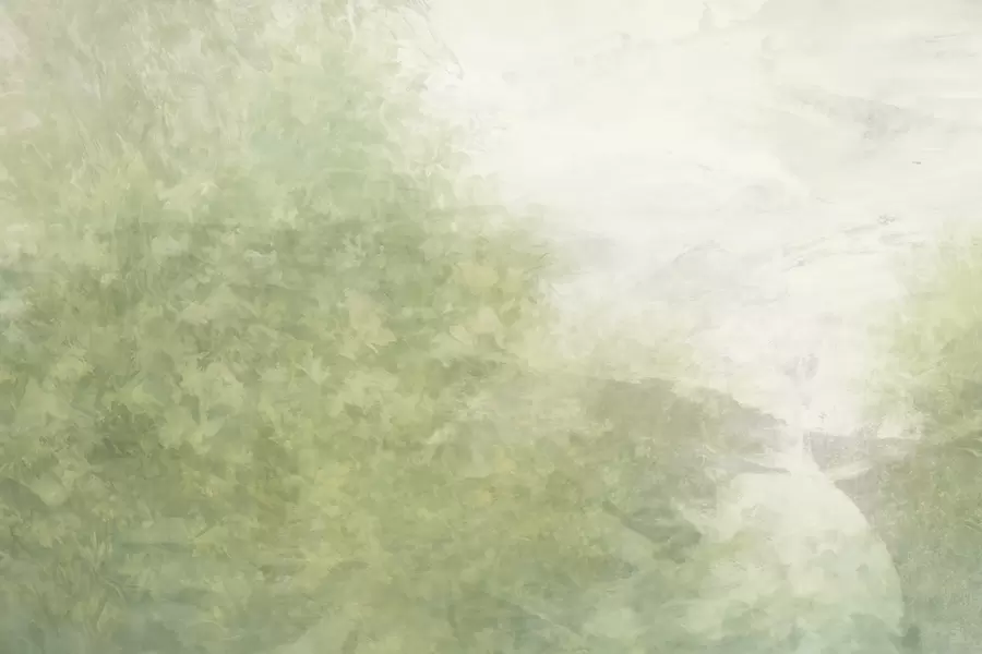 Fototapetes  Lapu imitācija uz betona sienas w04468