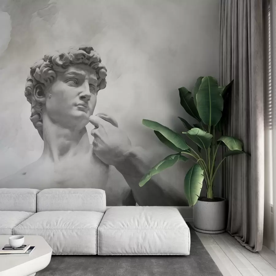 Fototapetes Renesanses gars w04767