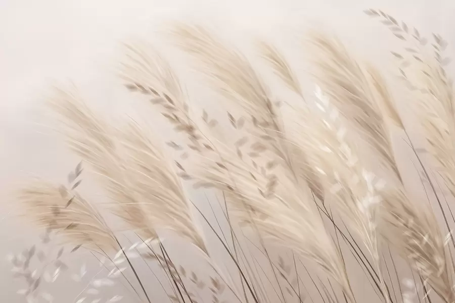 Fototapetes Pampas w04849