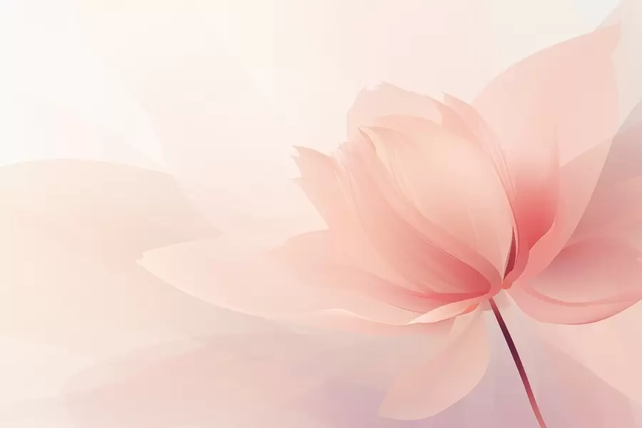 Fototapetes Liels zieds maigās persiku-rozā toņos w09356