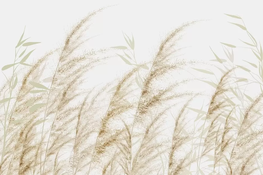 Fototapetes Pampas un sausa zāle w04863