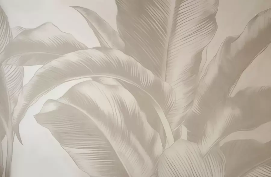 Fototapetes Garas lapas, banānu lapas ar nolietotu efektu w04827