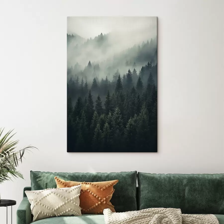 Glezna Migla pārklāj blīvu mūžzaļo mežu s46512