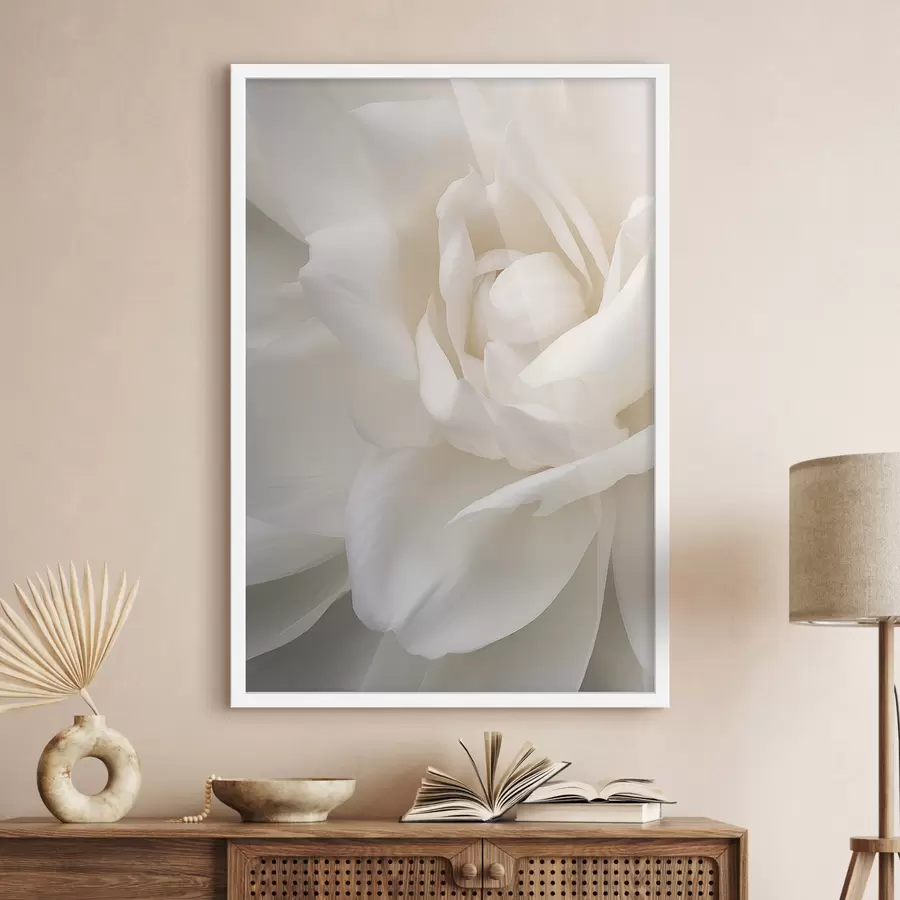 Fototapetes Abstrakts balts zieds ar delikātiem, slāņveida ziedlapām, minimālisma māksla f47025