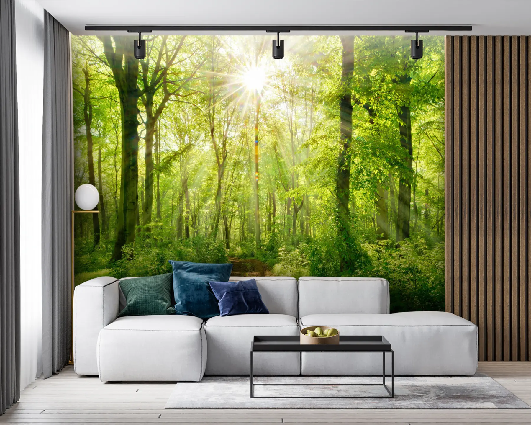 Fototapetes Ceļš saulainā mežā u22252