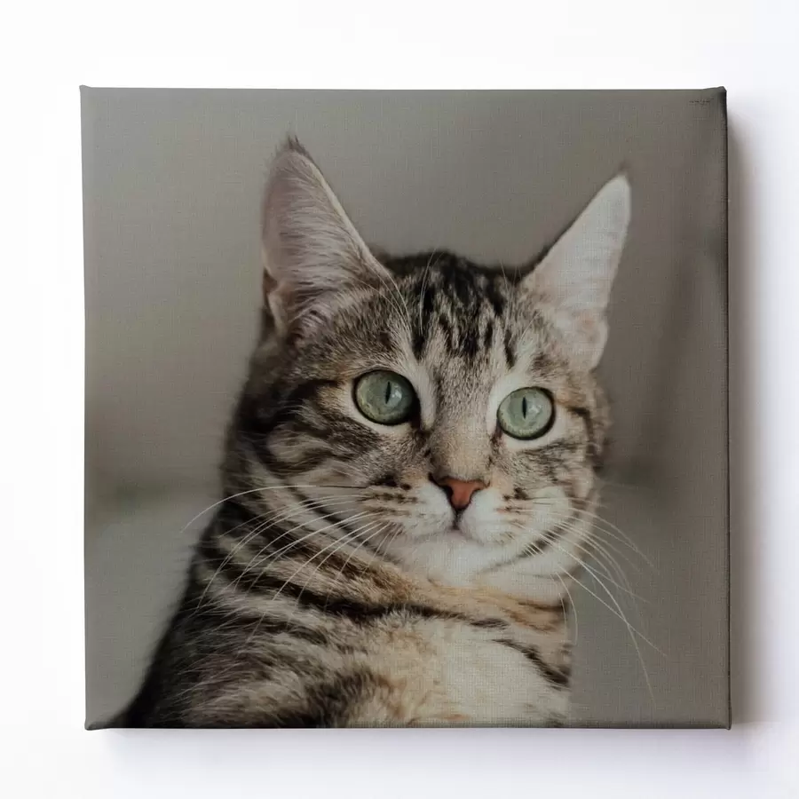 Glezna Romantiska dāvana pārim, pamatojoties uz fotogrāfiju s47204